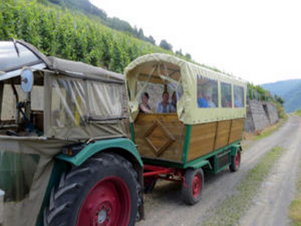 Weincafe Korkenzieher Briedel Zewnętrze zdjęcie